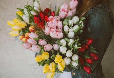Почему принято дарить тюльпаны на 8 марта