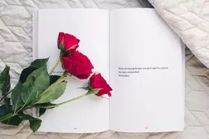 Красные розы купить в Хабаровске