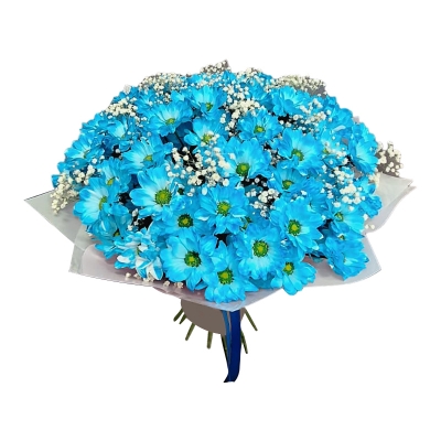 Букет из хризантем и гисофил  — Цветы SFlower – доставка цветочных букетов в Хабаровске. У нас цветы можно купить или заказать с доставкой круглосуточно — 2477aaa3