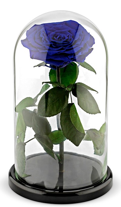 Синяя роза в колбе — Цветы SFlower – доставка цветочных букетов в Хабаровске. У нас цветы можно купить или заказать с доставкой круглосуточно — 