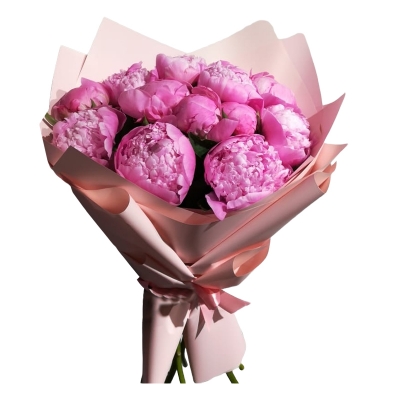 Пионочка — Цветы SFlower – доставка цветочных букетов в Хабаровске. У нас цветы можно купить или заказать с доставкой круглосуточно — 3e9e77f4