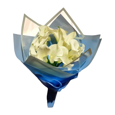 Белые каллы — Цветы SFlower – доставка цветочных букетов в Хабаровске. У нас цветы можно купить или заказать с доставкой круглосуточно — 