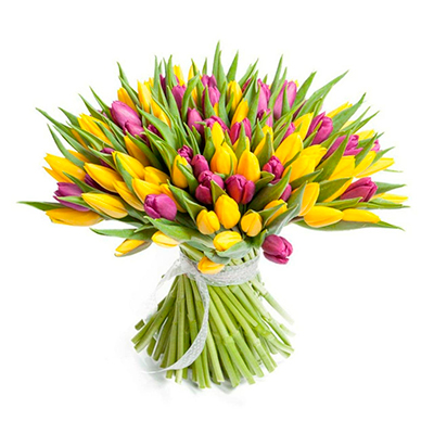 Букет желтых и фиолетовых тюльпанов
