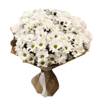 Белоснежка — Цветы SFlower – доставка цветочных букетов в Хабаровске. У нас цветы можно купить или заказать с доставкой круглосуточно — 