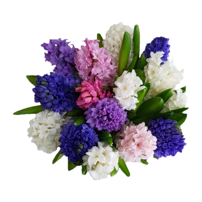 Яркий аромат — Цветы SFlower – доставка цветочных букетов в Хабаровске. У нас цветы можно купить или заказать с доставкой круглосуточно — 
