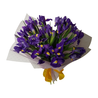 Небесный ирис — Цветы SFlower – доставка цветочных букетов в Хабаровске. У нас цветы можно купить или заказать с доставкой круглосуточно — 98d1977f